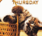 Thursday của bạn