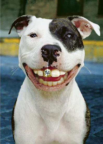 avatar smile
