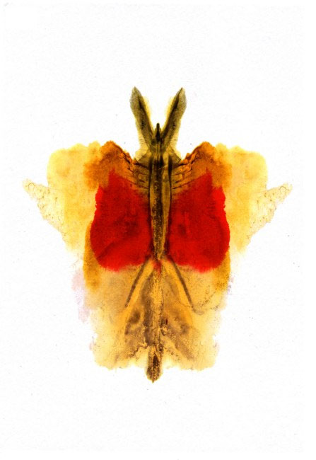 Bài trắc nghiệm tâm lý của Hermann Rorschach